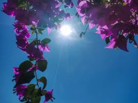 Foto (© Eurokinissi)