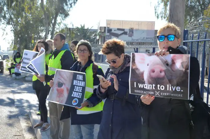 Mit Plakaten, auf die Fotos von Tieren sowie Parolen wie „Ich will leben“ oder „Werde Vegan! Rette Leben!“ gedruckt sind, ziehen die AktivistInnen die Aufmerksamkeit vorbeifahrender Fahrzeuge auf sich. (Fotos: GZfg)