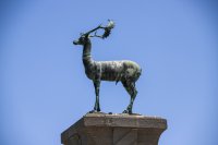 Der „rhodische Hirsch“ gilt als Wahrzeichen der Dodekanes-Insel. (© Eurokinissi) 