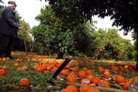 Archivfoto (© Eurokinissi)