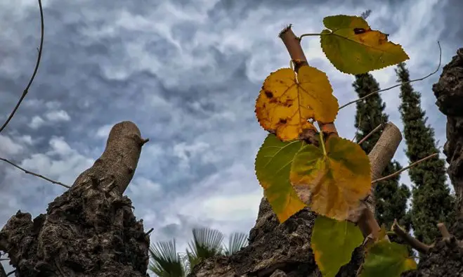 Archivfoto (© Eurokinissi) 