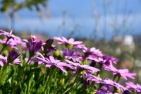 Archivfoto (© GZjh)