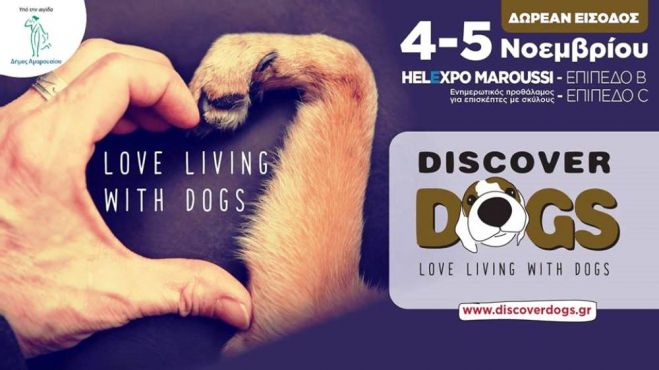 Discover Dogs Festival 2017