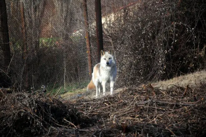 Archivfoto (© Eurokinissi)