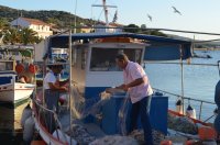 Unser Archivfoto (Griechenland Zeitung / Jan Hübel) zeigt ein traditionelles Boot aus Holz in Griechenland, ein sogenanntes Kaiki.
