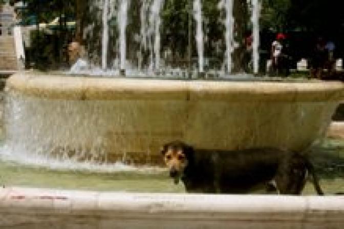 Hitzewelle geht auch heute weiter – ab morgen wird es merklich kühler