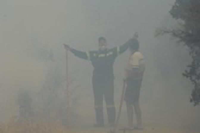 Griechenland: Großbrand auf der Insel Samos unter Kontrolle
