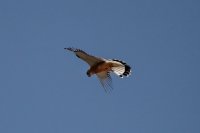 Archivfoto (©Eurokinissi)