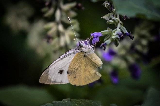 Beispielfoto (© Eurokinissi)