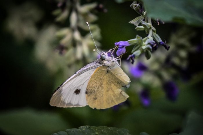 Beispielfoto (© Eurokinissi)