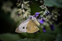 Beispielfoto (© Eurokinissi)