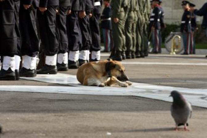 Griechischer Verteidigungshaushalt einer der höchsten in der NATO