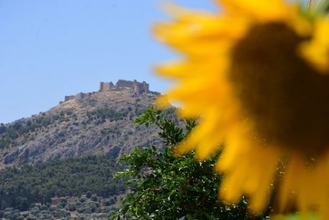 Archivfoto (© Eurokinissi)