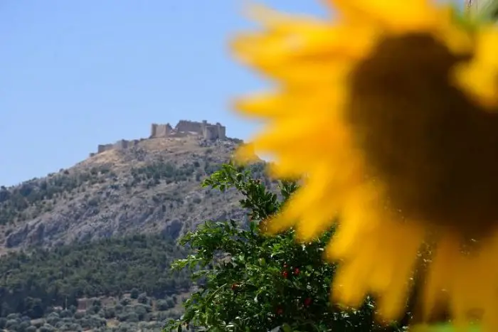 Archivfoto (© Eurokinissi)