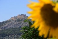 Archivfoto (© Eurokinissi)