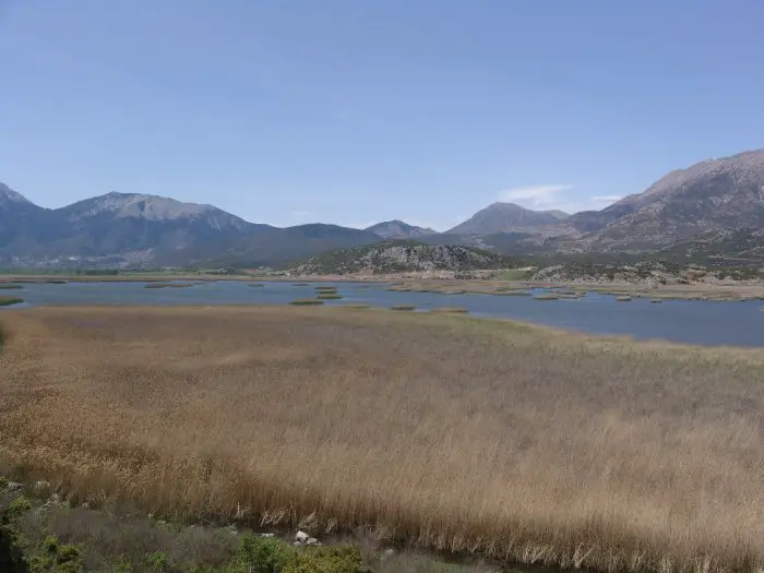 Unser Archivfoto (© GZ / jh) entstand im Nemea-Tal auf der Peloponnes.