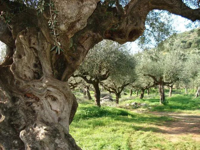 Das Wetter für Athen und ganz Griechenland