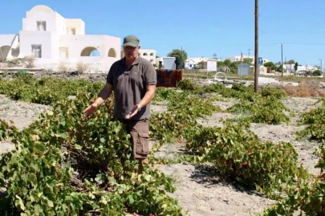 Die wunderbare Welt der Weine: Griechenland – Der antike Wein von Santorin