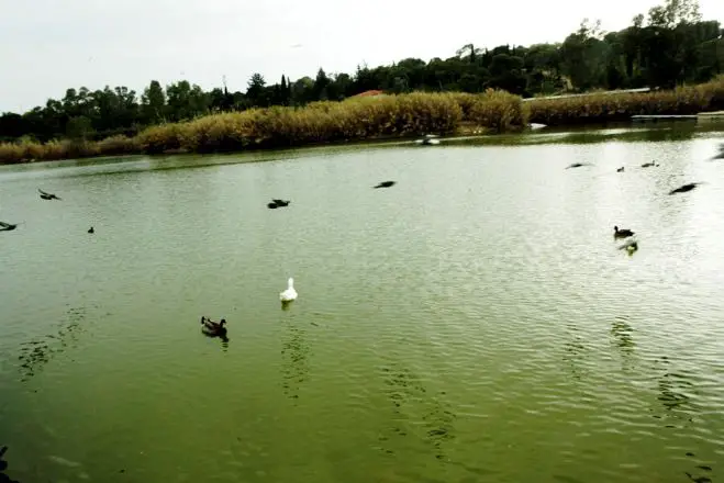 Größter Park des östlichen Mittelmeers in Thessaloniki