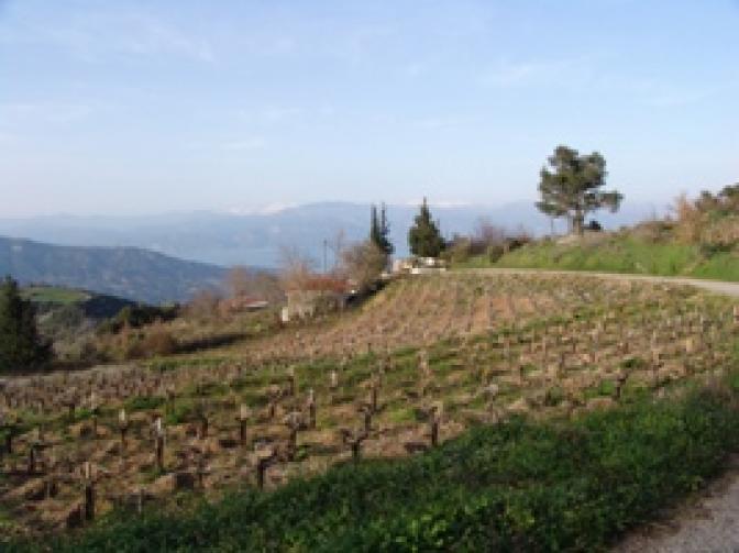 Das Wetter für Athen und ganz Griechenland