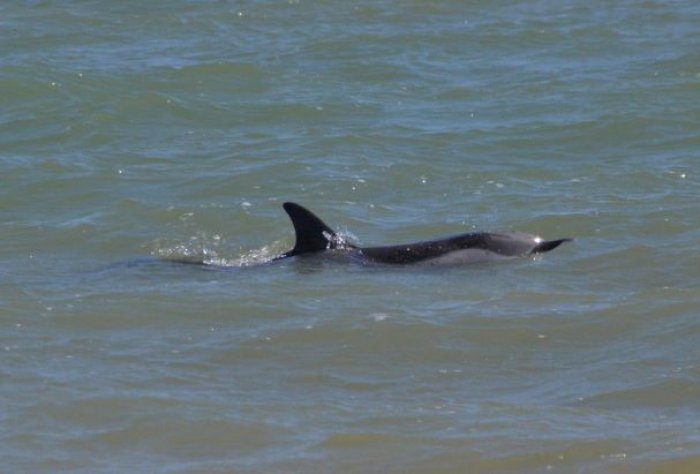 Unser Archivfoto (© Eurokinissi) entstand 2017 in der Nähe von Argos auf der Peloponnes.