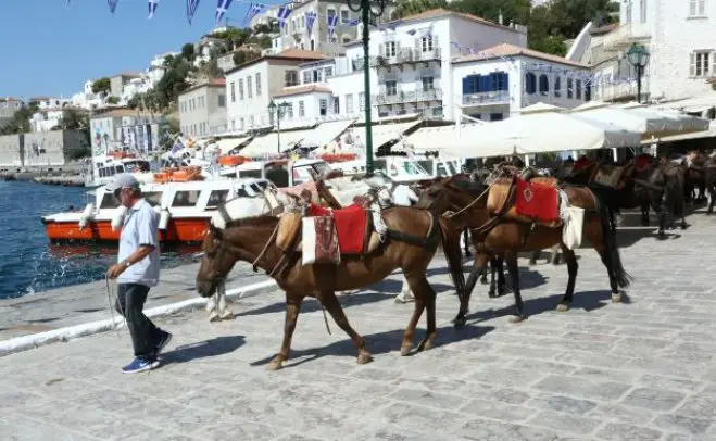Foto (© Eurokinissi)