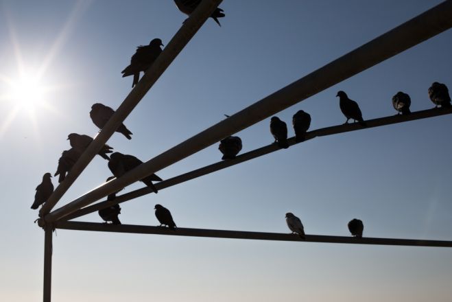 Zeit für einen Sonnenspaziergang