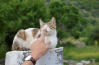 Unser Archivfoto (© Griechenland Zeitung / Jan Hübel)