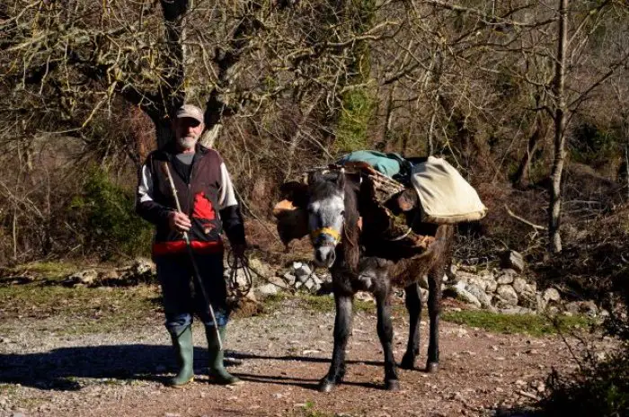 Unser Archivfoto (© Griechenland Zeitung / Jan Hübel) entstand im Januar bei Pryolithos in der Nähe von Kalavryta, Peloponnes.