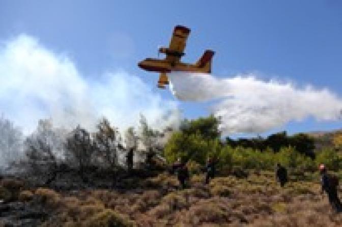 Brände nahe der Hauptstadt und in der Region von Delphi