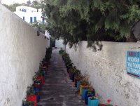 Foto (© Griechenland Zeitung / mp)