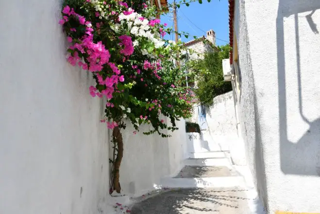 Unser Archivfoto (© Griechenland Zeitung / Jan Hübel) entstand auf der Insel Poros.