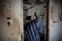 Unsere Fotos (© Eurokinissi) entstanden nach dem Waldbrand vom 23.7. in Ostattika.