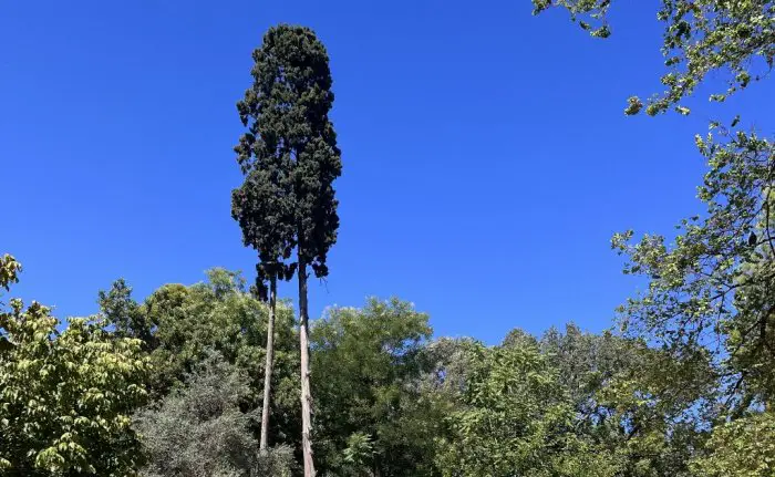 Himmel über dem Nationalgarten Athen (Foto: © Svea Mauersberger)