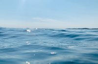 Vorreiterrolle beim Meeresschutz: Griechenland verbietet die Grundschlepp-Netzfischerei 
