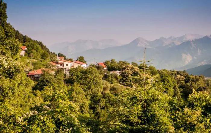 Foto (© gtp): Pertouli