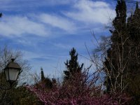 Archivfoto (© Eurokinissi)