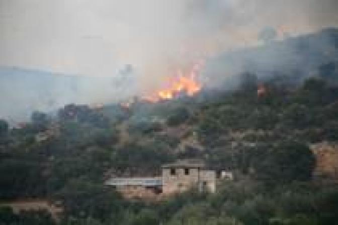 Feuer auf drei griechischen Inseln