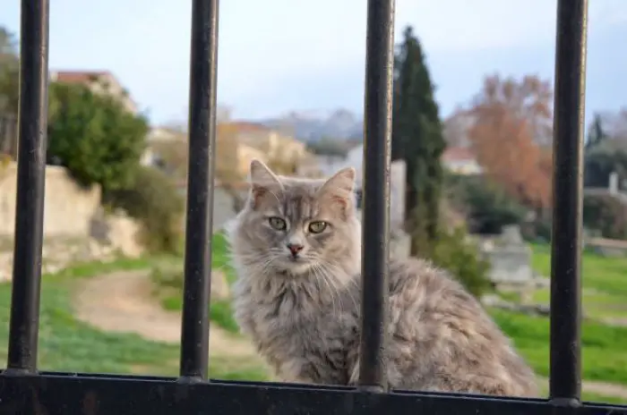 Archivfoto (© GZ/jh)