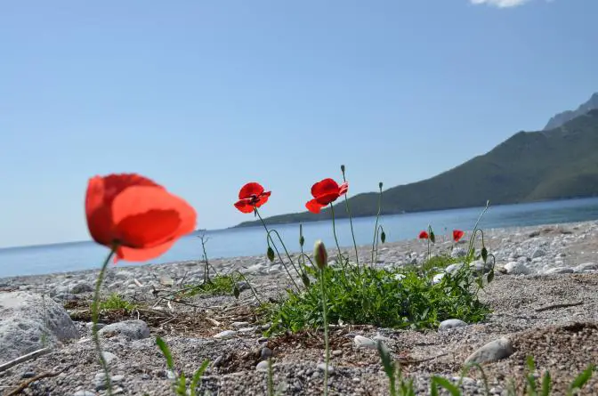 Das Wetter für Athen und ganz Griechenland