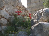 Archivfoto (© Griechenland Zeitung / jh)