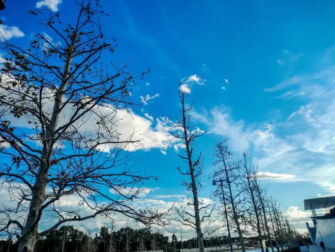 Schönwetterwolken und Saharasand