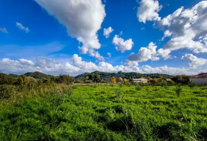 Foto (© Eurokinissi)