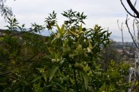 Archivfoto (© Griechenland Zeitung / jh)