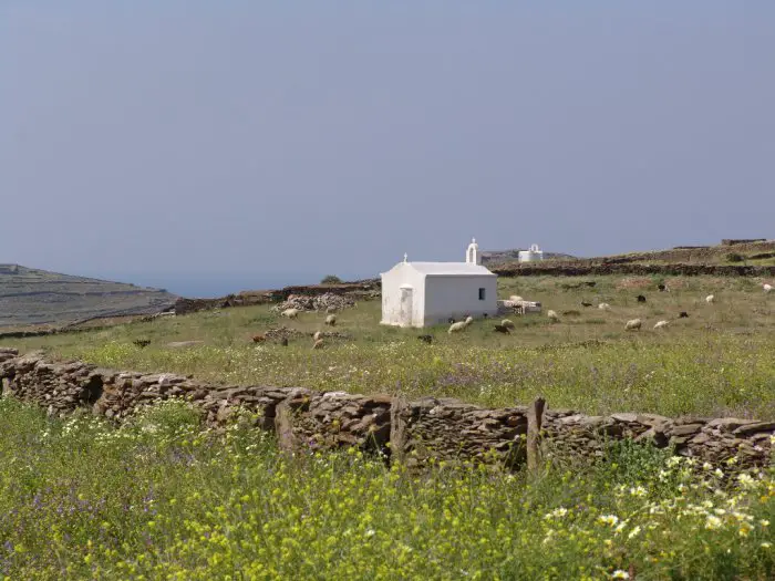 Unser Foto (© Griechenland Zeitung / Jan Hübel) wurde auf Kythnos aufgenommen.