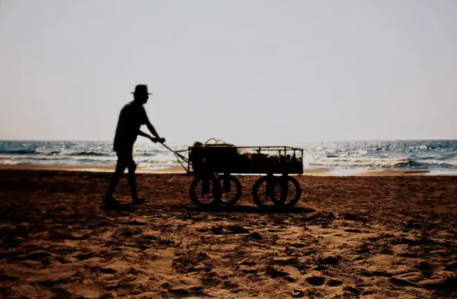 Der Traubenverkäufer