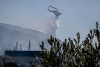 Unser Foto (© Eurokinissi) entstand am Montag (28.7.) in der Nähe des Universitätsgeländes im Athener Vorort Zografou.