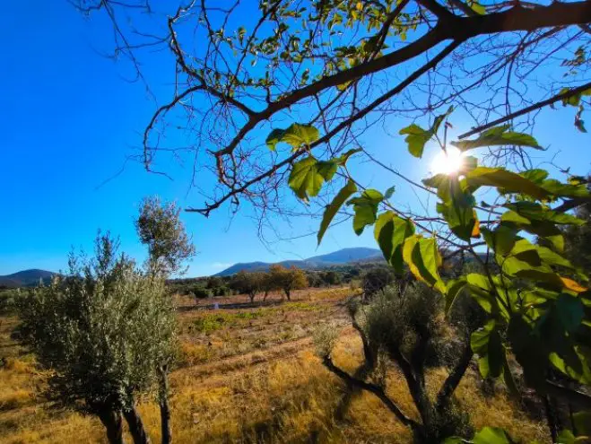 Archivfoto (© Eurokinissi)