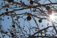 Foto (© Jan Hübel)