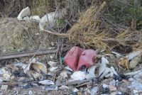 Foto © Peter A. Balzarini-Landolt